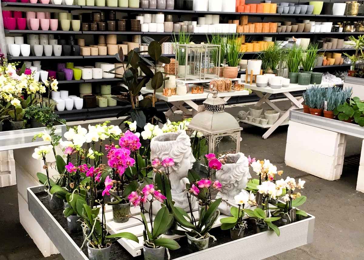 Monheimer Blumenmarkt